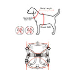 Puppia Harness C Classy Gray XL