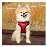 Puppia Soft Harness C Red Small