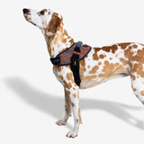 Zee Dog Fly Harness Vortex Size 4